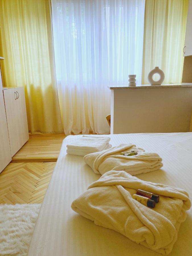 Timisoara Central Apartament Διαμέρισμα Εξωτερικό φωτογραφία