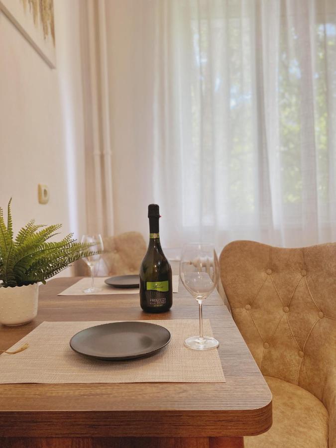 Timisoara Central Apartament Διαμέρισμα Εξωτερικό φωτογραφία