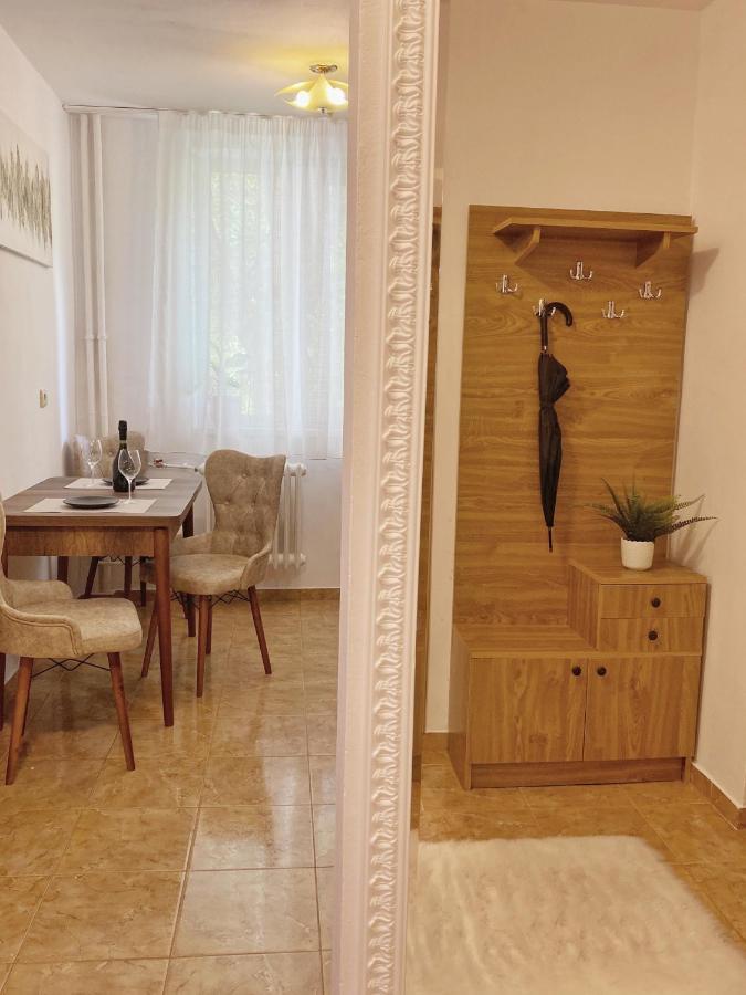 Timisoara Central Apartament Διαμέρισμα Εξωτερικό φωτογραφία