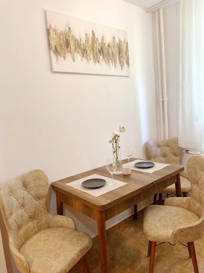 Timisoara Central Apartament Διαμέρισμα Εξωτερικό φωτογραφία